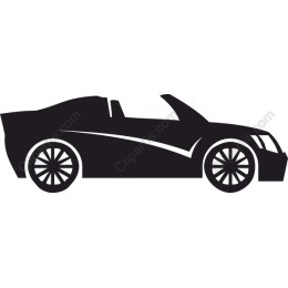 Premium Convertible Car
