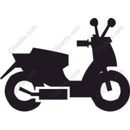 Stylish Scooter