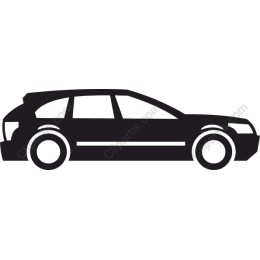 Sleek Black Car