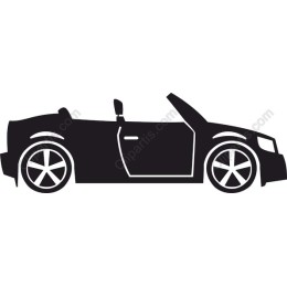 Sleek Convertible Car