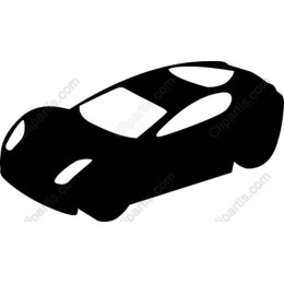 Sleek Car