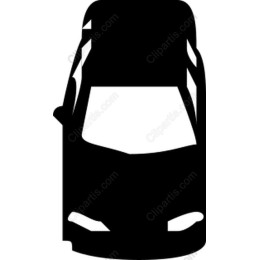 Sleek Car
