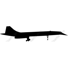 Supersonic Aircraft