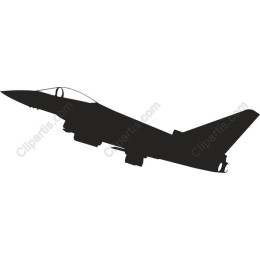 Fighter Jet