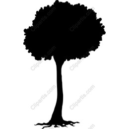 Elegant Tree
