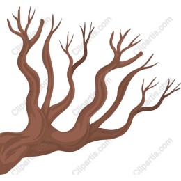Gnarled Tree Branch