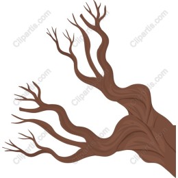 Twisted Branches