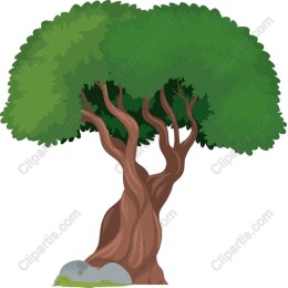 Majestic Tree
