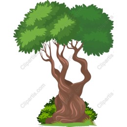 Twisted Tree