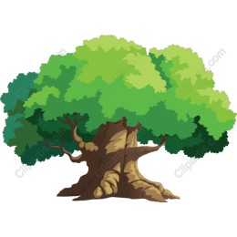 Majestic Tree