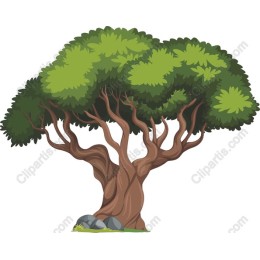 Majestic Tree