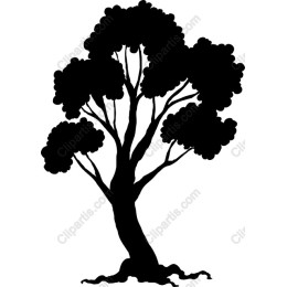 Majestic Tree