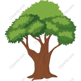 Lush Green Tree