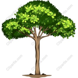 Lush Green Tree