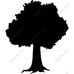 Lush Tree