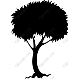 Elegant Tree