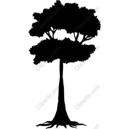 Elegant Black Tree