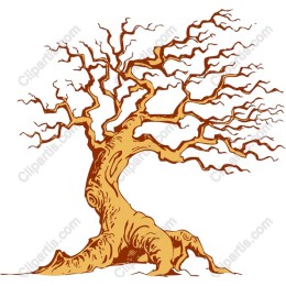 Gnarled Artistic Tree