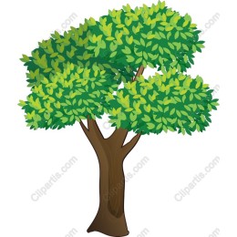 Vibrant Tree