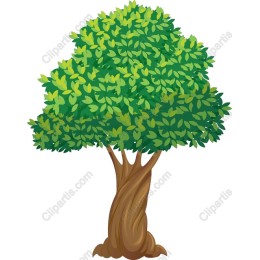 Majestic Tree