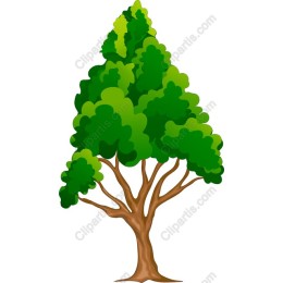 Lush Green Tree