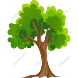 Lush Green Tree