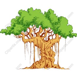 Majestic Tree