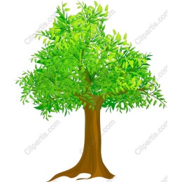 Lush Green Tree