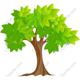 Lush Green Tree