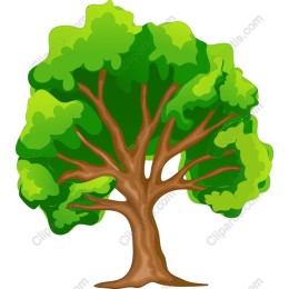 Lush Green Tree