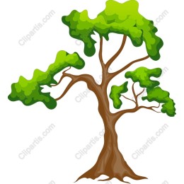 Vibrant Tree