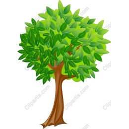 Lush Green Tree