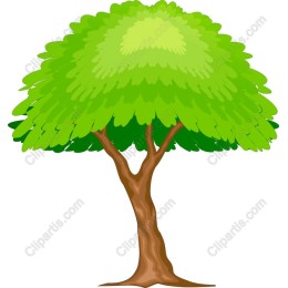 Lush Green Tree
