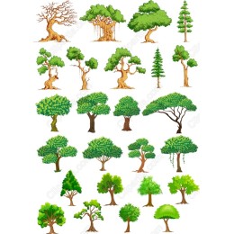 Ultimate Tree Cliparts Collection - Set