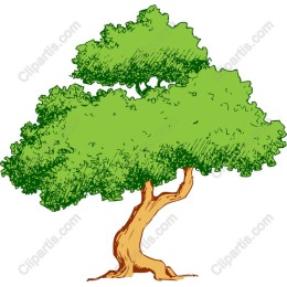 Lush Green Tree