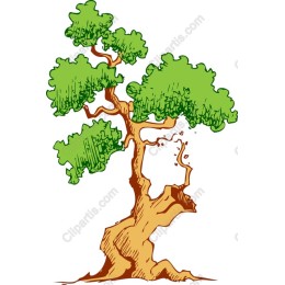 Classic Tree
