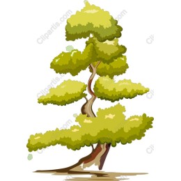 Lush Green Tree