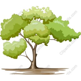 Vibrant Green Tree