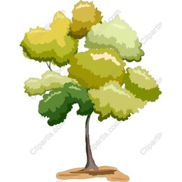 Vibrant Tree