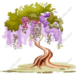 Wisteria Blossom Tree