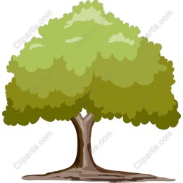 Lush Green Tree