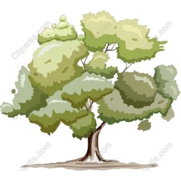 Lush Tree