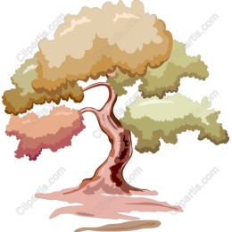 Elegant Nature Tree