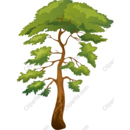 Majestic Tree