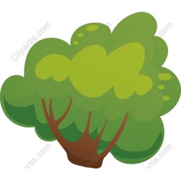 Vibrant Green Tree