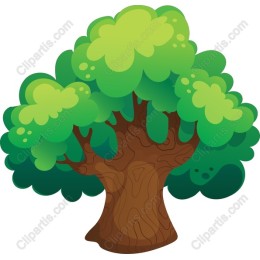 Lush Green Tree