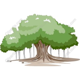 Majestic Tree
