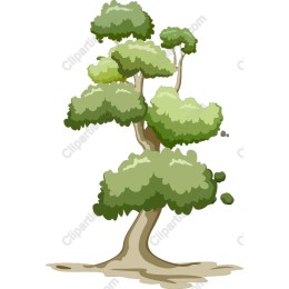 Lush Green Tree