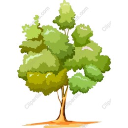 Lush Green Tree