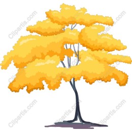 Vibrant Yellow Tree